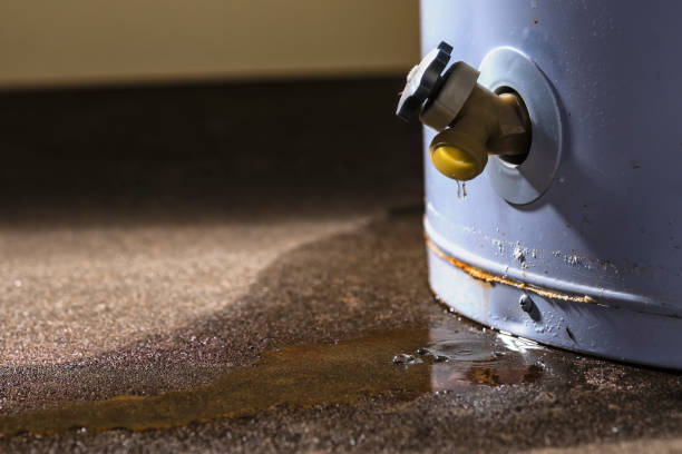  Fort Scott, KS Water damage restoration Pros