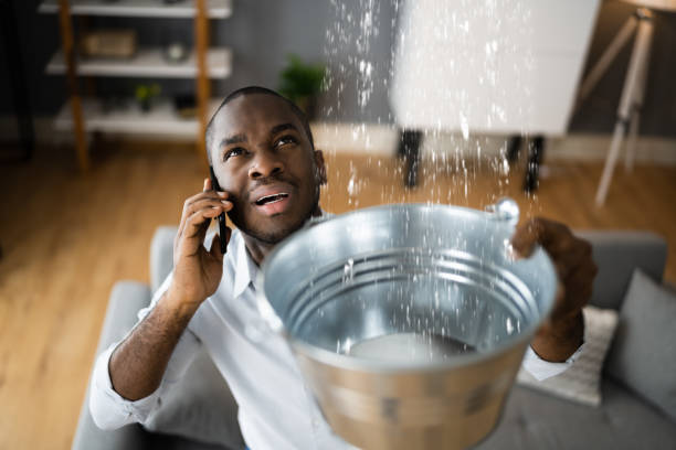 Best Water damage contractors near me  in Fort Scott, KS