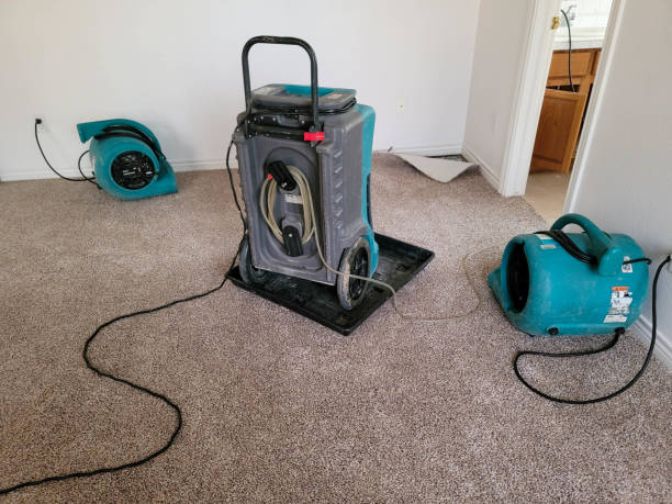 Best Ceiling water damage repair  in Fort Scott, KS