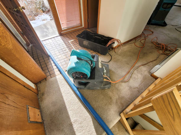 Best Water damage cleanup near me  in Fort Scott, KS