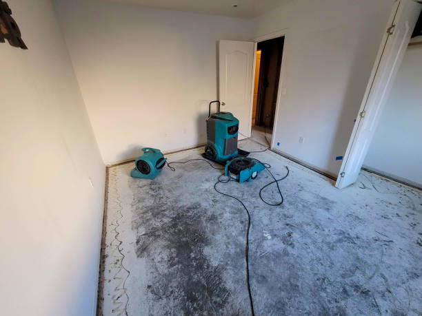 Best Fire Damage Restoration  in Fort Scott, KS
