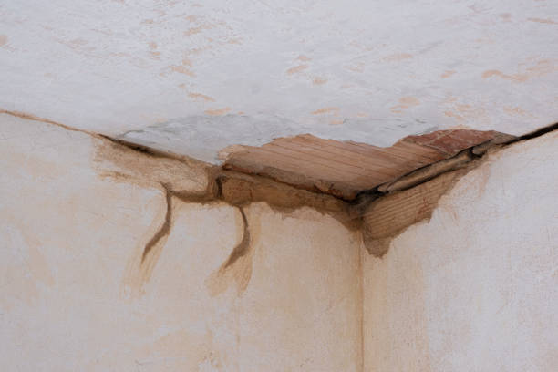 Best 24-hour water damage restoration  in Fort Scott, KS