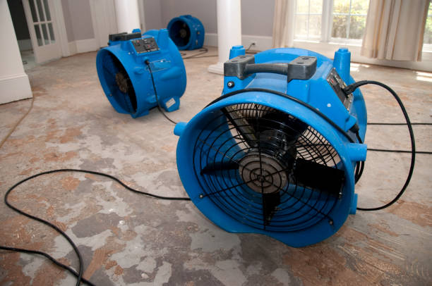Best Water damage cleanup near me  in Fort Scott, KS