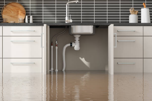 Best Water damage restoration near me  in Fort Scott, KS