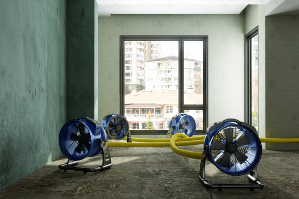 Best 24/7 water damage repair  in Fort Scott, KS