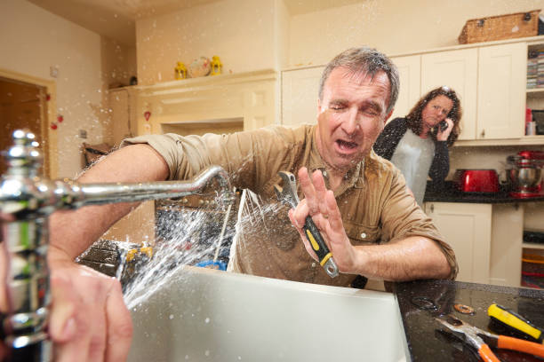 Best Professional water damage repair  in Fort Scott, KS